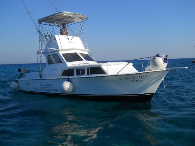  Barco albatroz